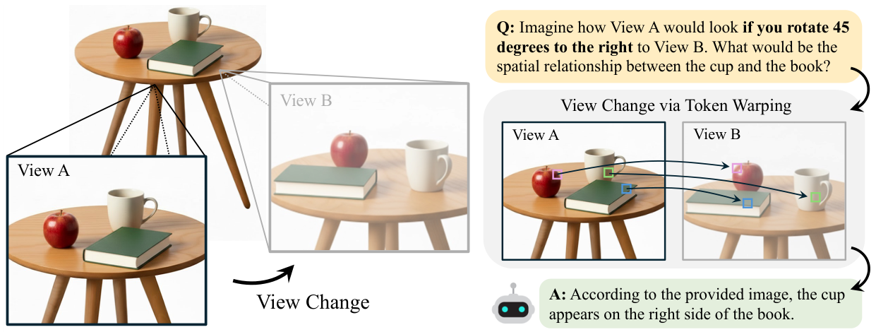 Viewpoint Change via Token Warping teaser