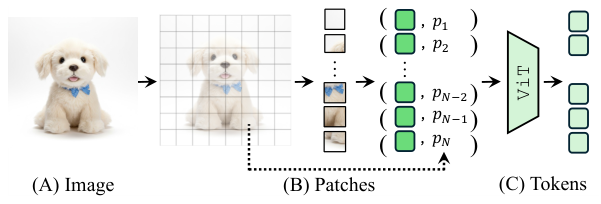 ViT image tokenization