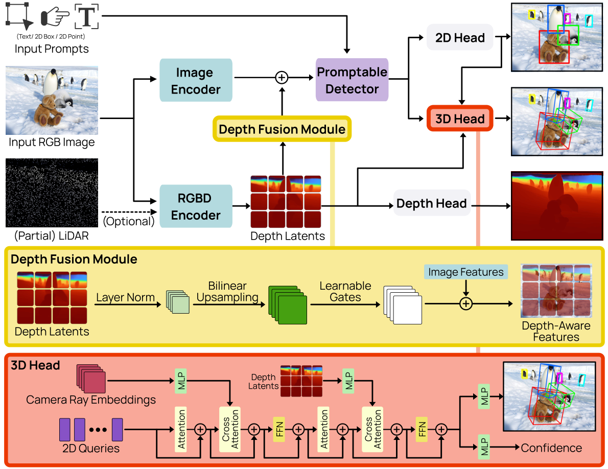 WildDet3D architecture