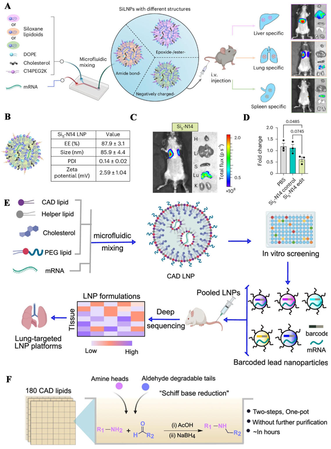 LNP engineering strategies including SiLNP organ targeting and combinatorial lipid screening