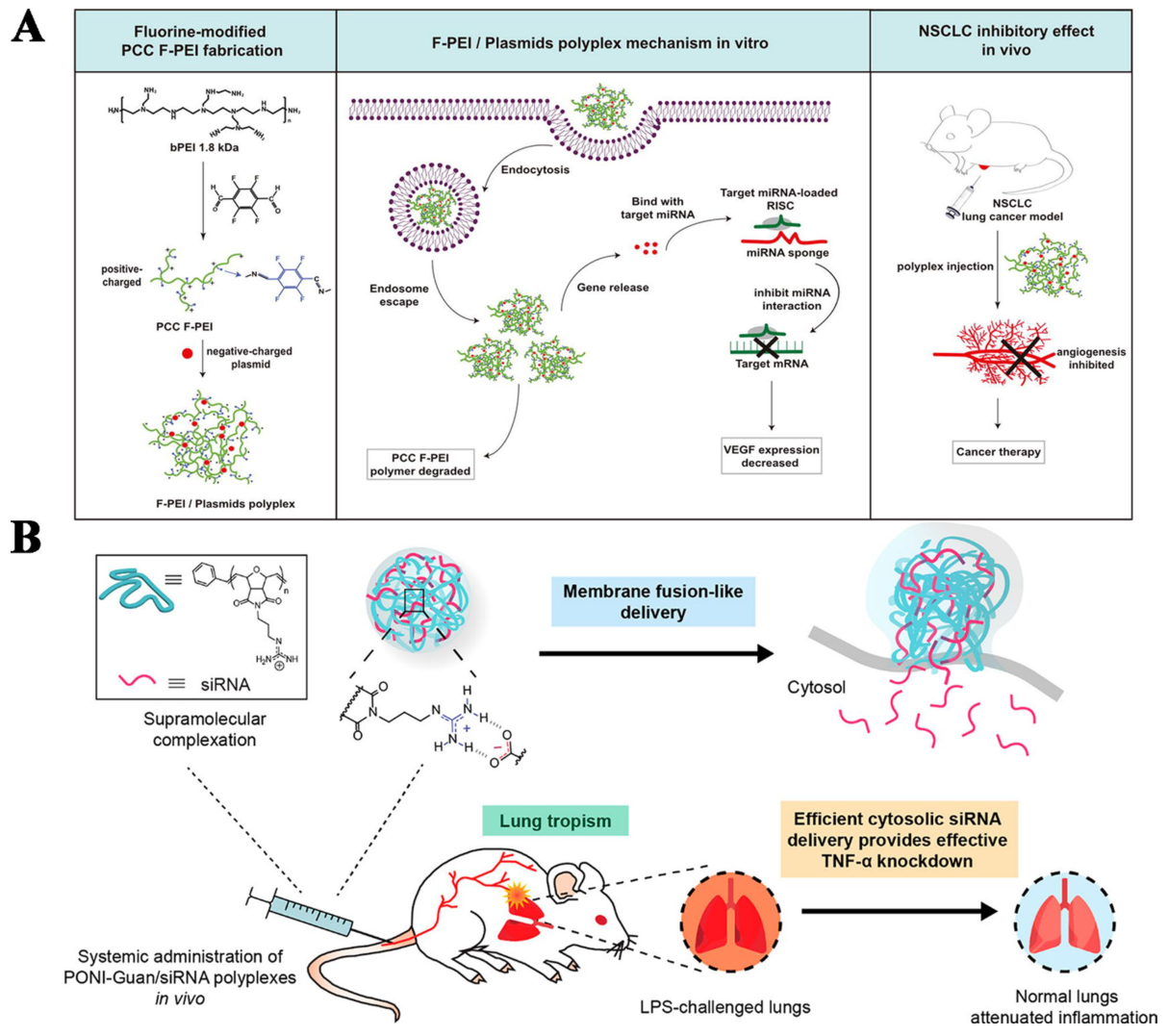 Polymer-based RNA delivery showing F-PEI and PONI-Guan polyplexes