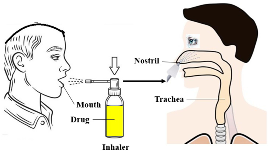 Diagram showing inhaler device and upper airway anatomy with oral and nasal inhalation routes