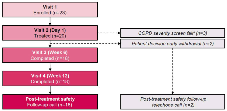 Patient flow CONSORT diagram