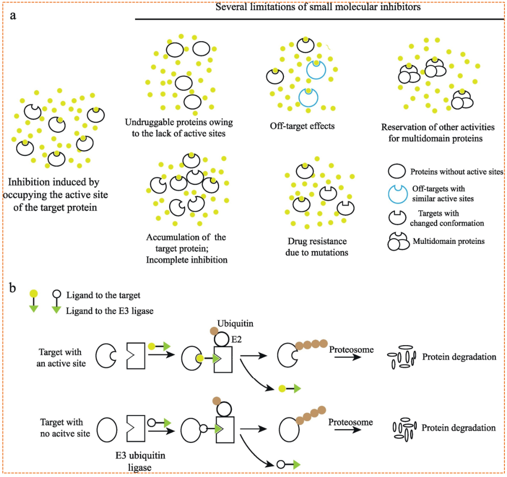 Traditional inhibitors vs PROTACs