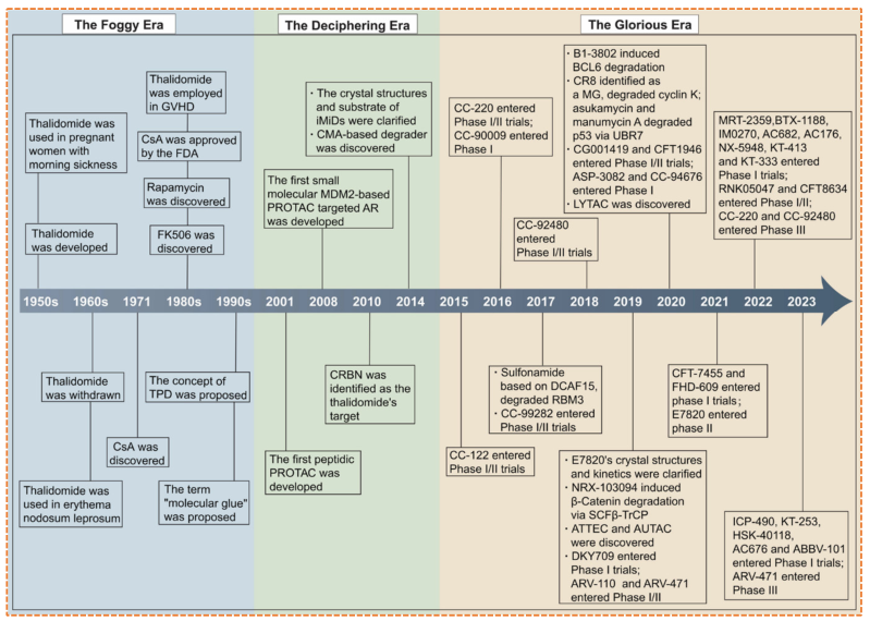 Detailed PROTAC timeline