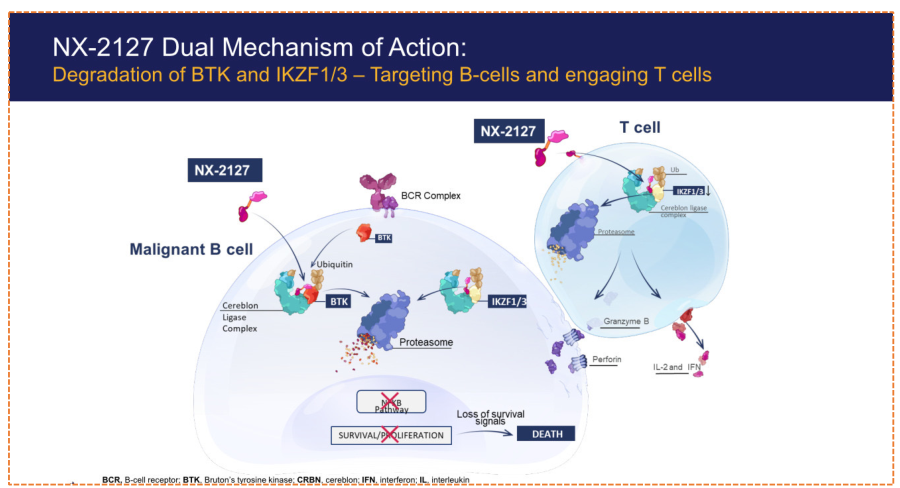 NX-2127 dual mechanism