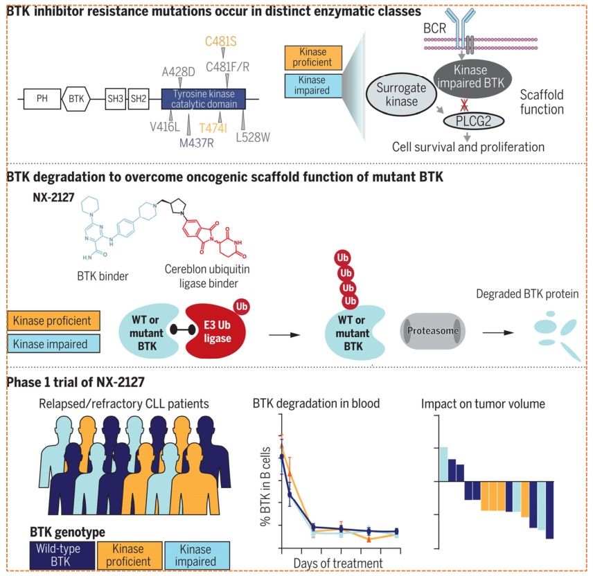 BTK resistance and NX-2127