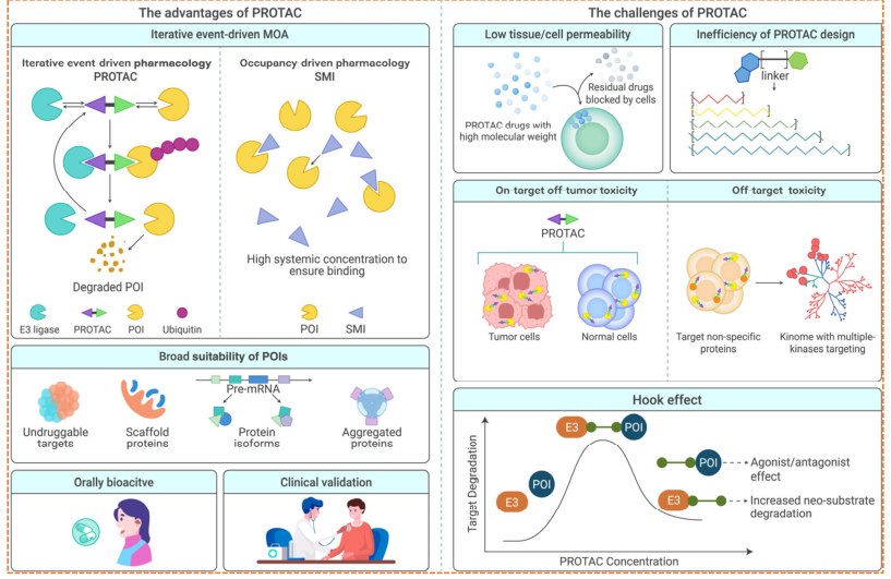 PROTAC advantages and challenges