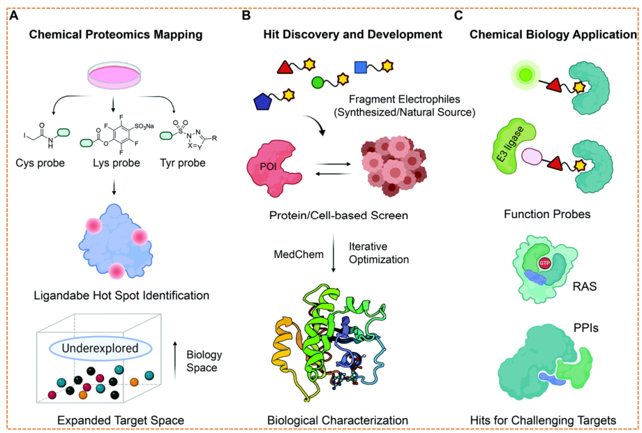 Chemical proteomics pipeline