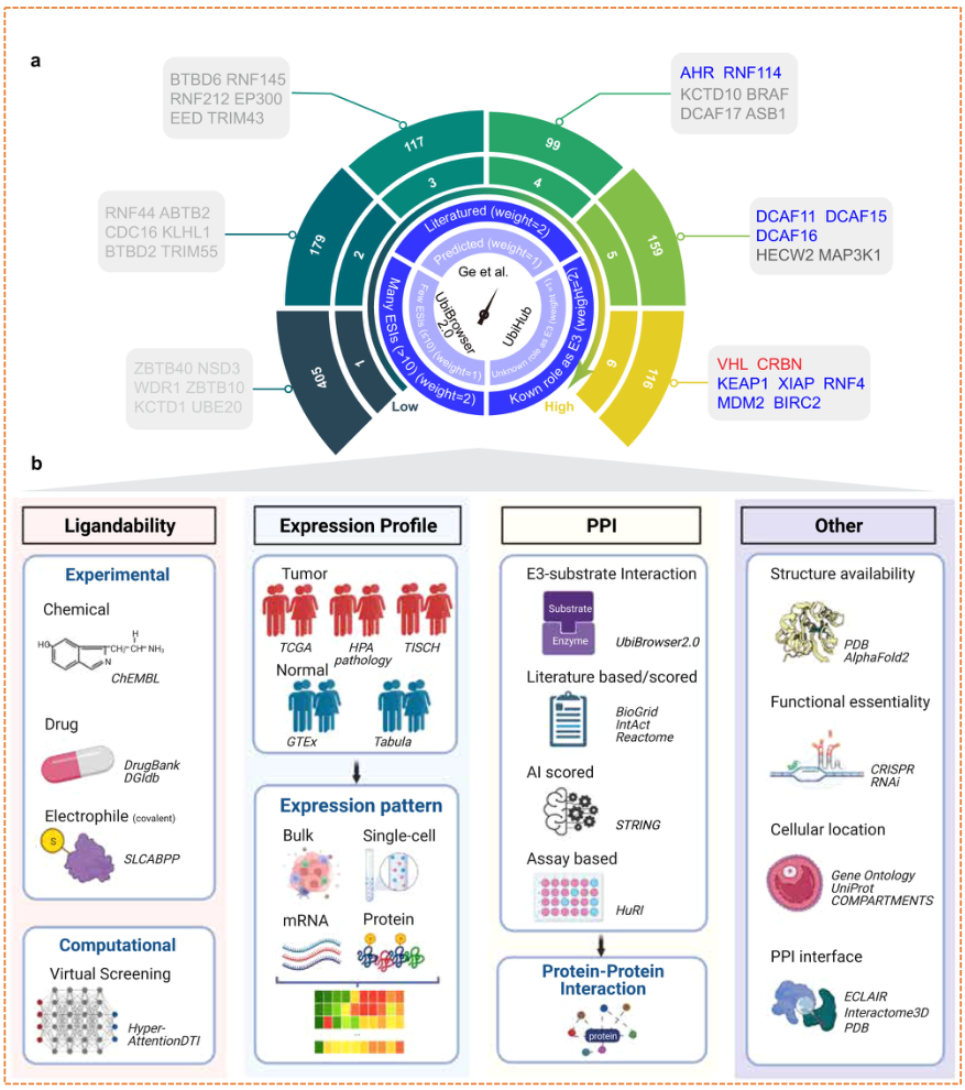 AI and multi-omics E3 ligase selection