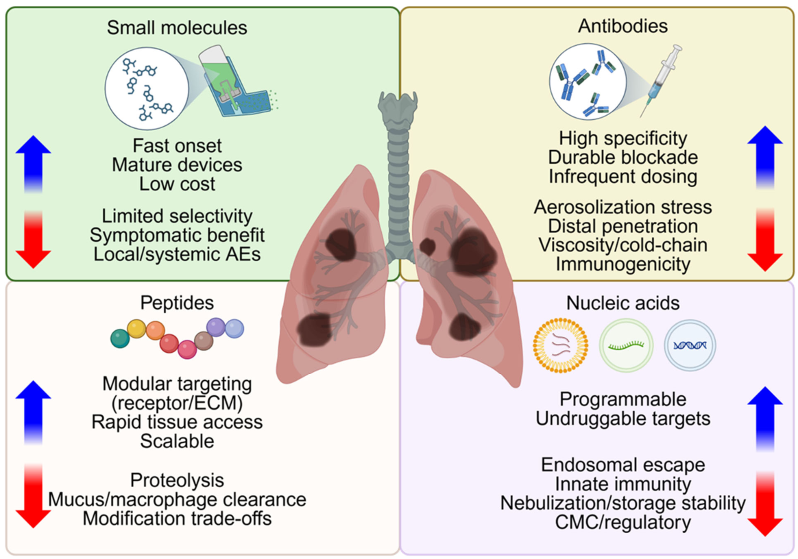 Four therapeutic modalities for inhalation in IPF