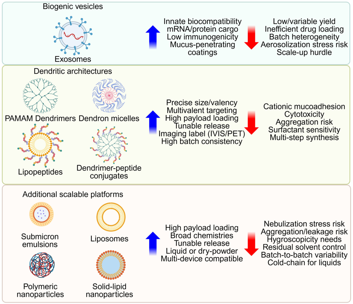 Nanoparticle platforms for pulmonary delivery - three tiers